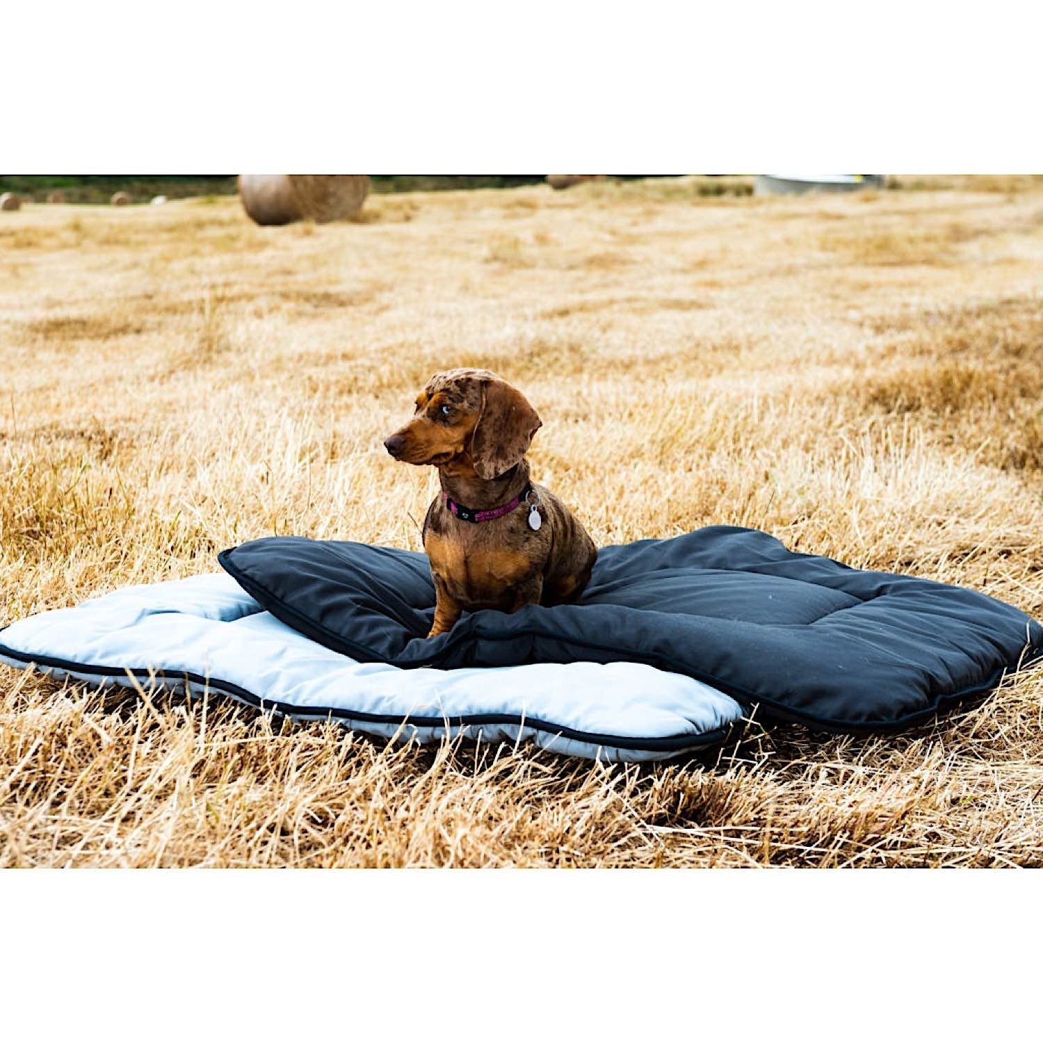 Pure Australian Wool Pet Beds - Image 4